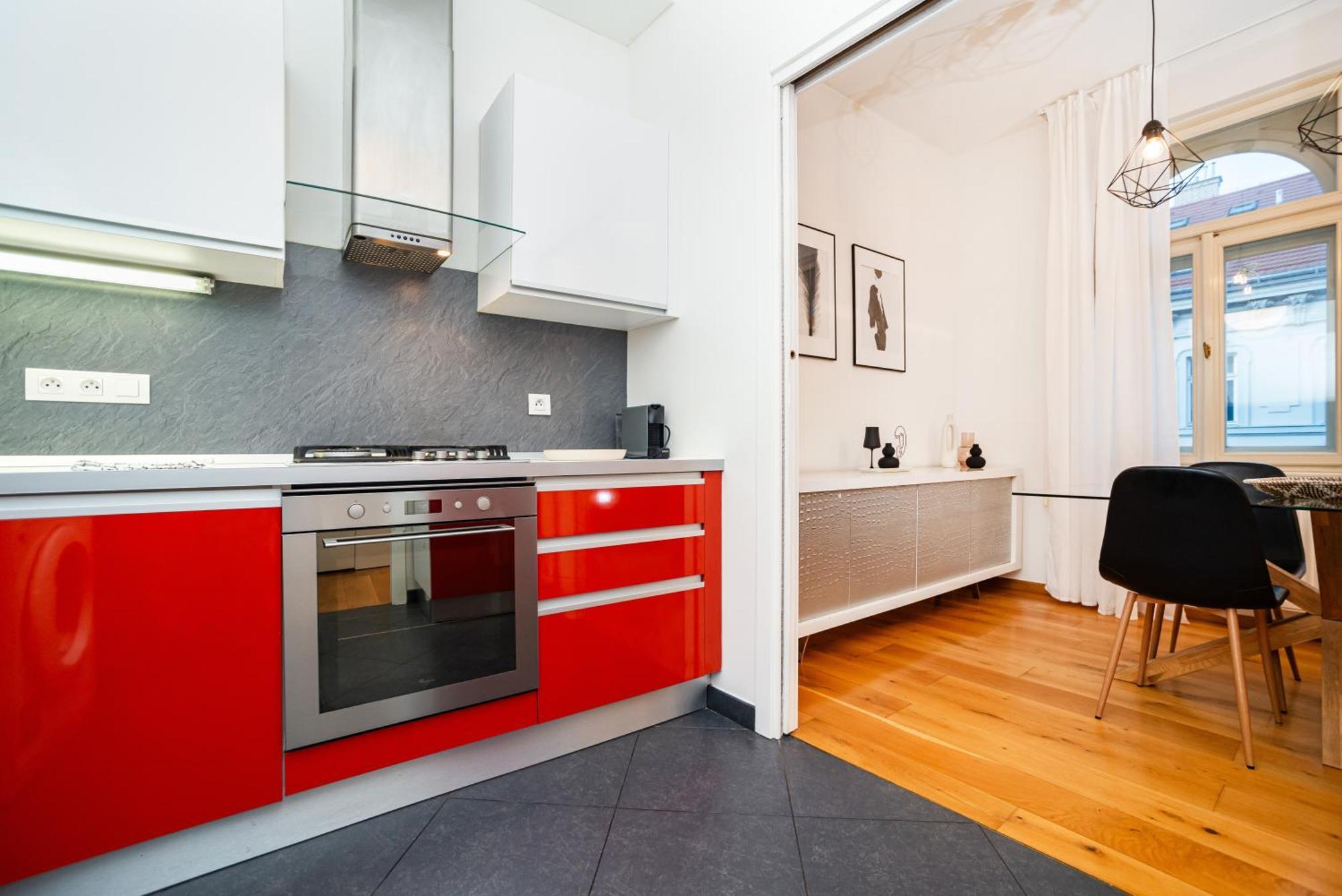 Apartment Large And Stylish In Prague